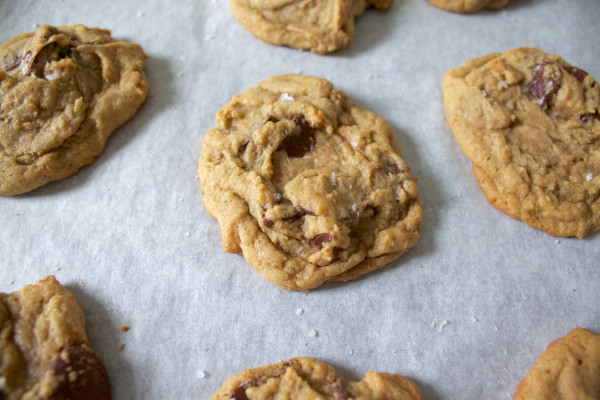 not without salt chocolate chip cookie giveaway cookies